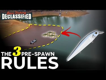 15 Years of Pre-Spawn Jerkbait Fishing taught me this…