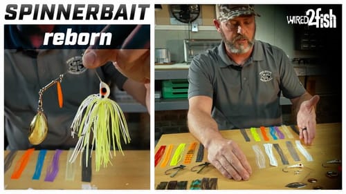 Revamp Your Spinnerbaits: Skirt Customizing Tips