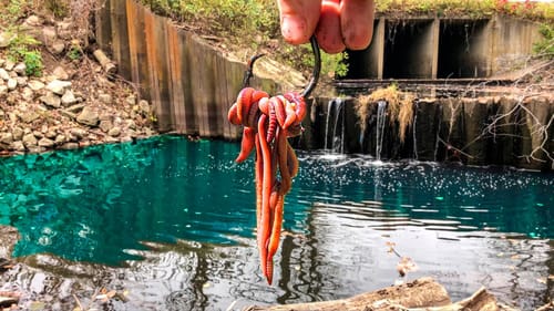 A VERY DANGEROUS Situation at a Remote Spillway...