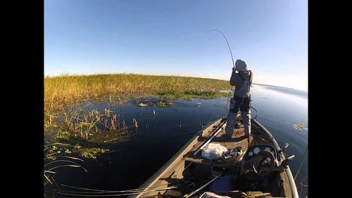 lake okeechobee 12 27 12  4lbs 1oz gambler bb cricket