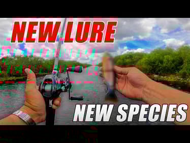 New LURE New SPECIES CHALLENGE!