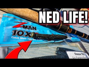 Bank Fishing Ned Rigs DOESN'T Suck...