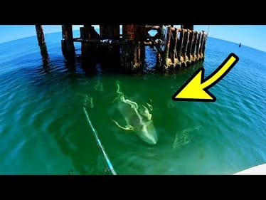 DROPPING a BAIT on this SEA MONSTER!!!