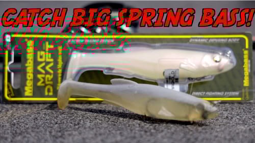 The BEST Lure For Catching BIG Prespawn Bass! - Megabass Magdraft