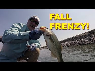 Top Baits For Catching Bass During The Fall Season | Bass Fishing