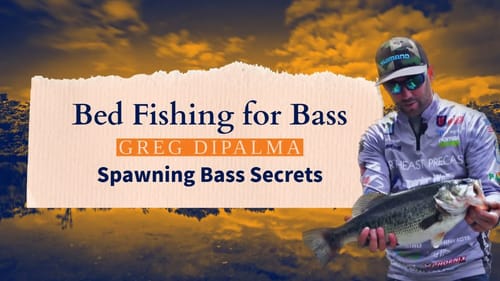 Bed Fishing Tutorial : TIPS on How to Catch Spawning Bass