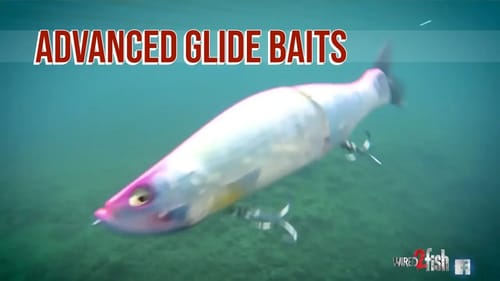 Glide Bait Mechanics - How to fish/swim a big glide bait