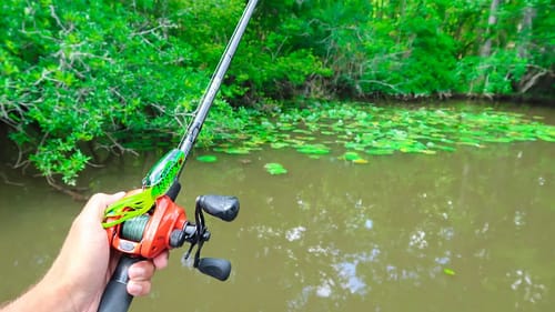 1v1 WALMART Bank Bass Fishing Challenge (Dad vs Son)