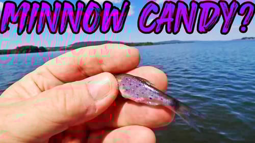 NEW MINNOW CANDY?? Get More Bites FISHING FOR CRAPPIE! (Tournament Technique?)