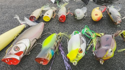 Spring Topwater Bass Fishing - Everything You Need To Know!