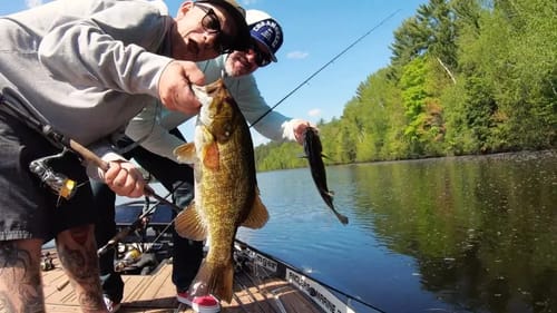 1st Time Smallmouth Fishing the Northwoods of Wisconsin #BigSmallmouthDreams