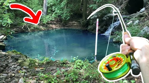 HIDDEN Tiny Pond = NEW PB!!! (Surprise Catch)