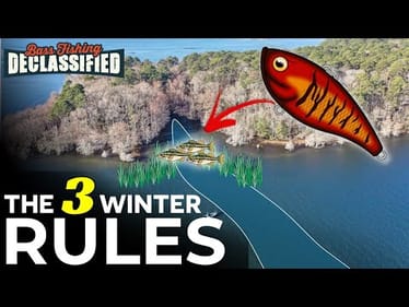 15 Years of Winter Lipless Crankbait Fishing taught me this...