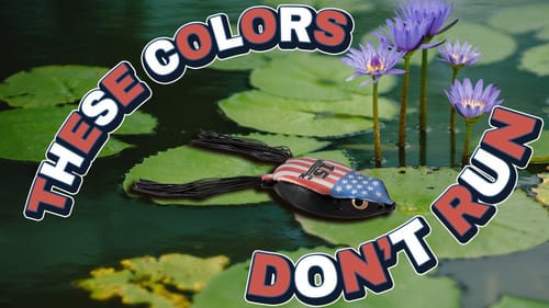 Topwater Frog Colors that CATCH BASS