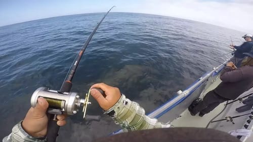 Fishing for Rockfish and Lingcod