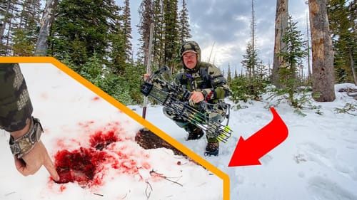 Tracking Bull Elk in Snow - EPIC Last Day Bow Hunt!