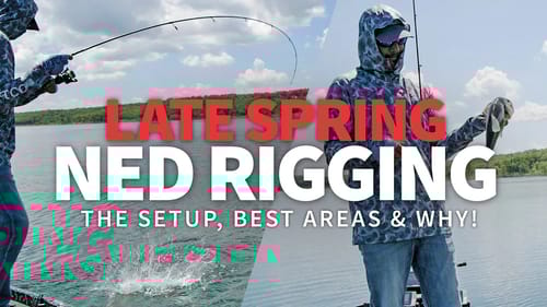 Fishing DEEP Clear Water SPAWNERS! – Late Spring NED Rigging!