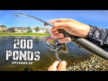 I Found A HONEY HOLE With Finesse Tactics! (“200 Ponds” Ep. 22)