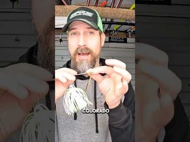 🔥 Lures for Sub 50 Degree Water