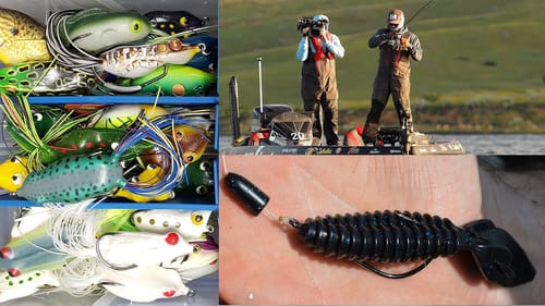 Frog Fishing, Moon Phases, Texas Rigs, and More | Bass Fishing