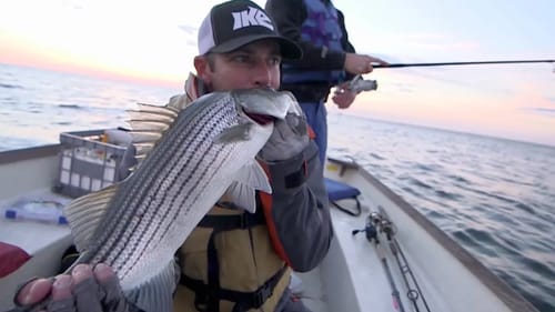 Striped Bass on Topwaters!!! Connecticut Fishing Adventure (Going Ike S2 - Teaser)