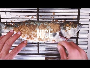 Smoked Tailor / Blue Fish - Fishing With Briggsy - Catch And Cook