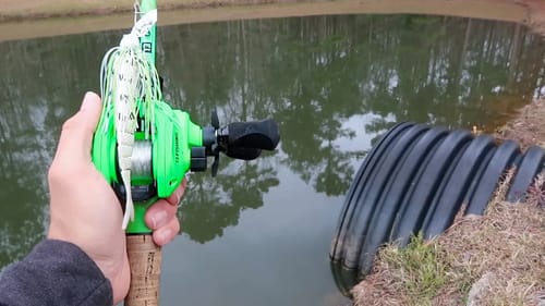 Catching ENORMOUS Bass While Bank Fishing (RECORD DAY)