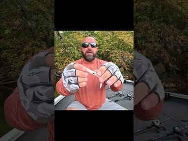 Best Fluke & Combo #bassfishing #fall #fishing #shorts