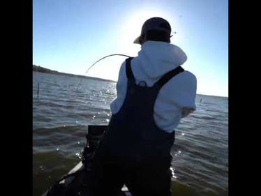 MONSTER Catfish Caught under a Tree 😳