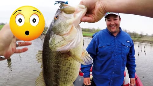 GIANT Bass On Mozingo Lake! The SPAWN Is ON!