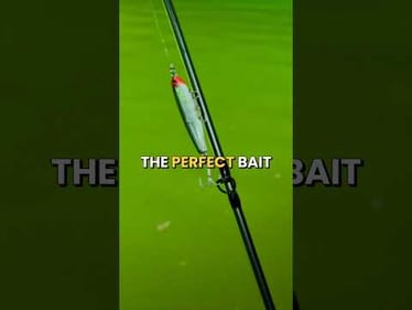 Can We Catch A Fish With My Dads SECRET Lure? #fishing #fishingvideos