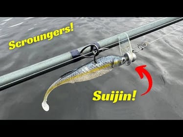 The Suijin is the King Of Scroungers!