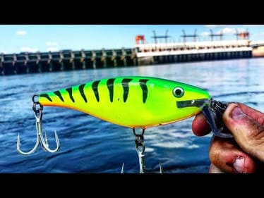 MONSTER CATFISH CAUGHT on LURES!!!
