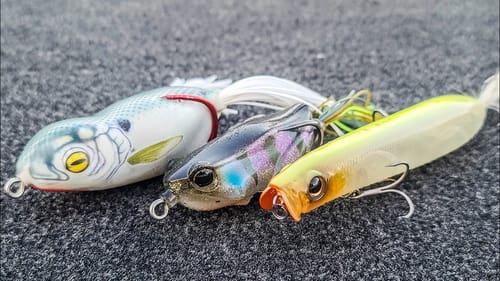 Grass Fishing Tricks! Flukes And Topwater Tips For Fall Bass Fishing!