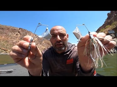 The NEW Berkley Riveter Buzzbaits