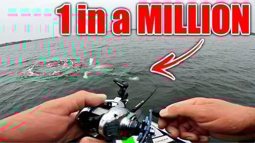 Once in a Lifetime *RARE* Catch nearly Destroyed my day...