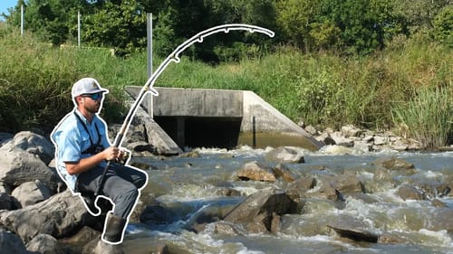 MILLIONS of Fish at the SPILLWAY!!! (Searching for New State Record)