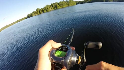 Insane Bass Action Every Cast!!!