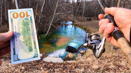 I PAID to Fish for a RARE NEW Species in this TINY CREEK!!!