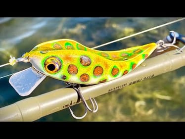 Leopard Frog Spoon/JerkBait Hybrid | One Day Build to Catch