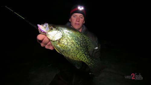 Dead Stick Crappie with Live Bait when Ice Fishing