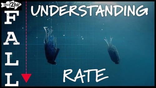 How Line Diameter Affects Lure Fall Rates - Underwater Footage!