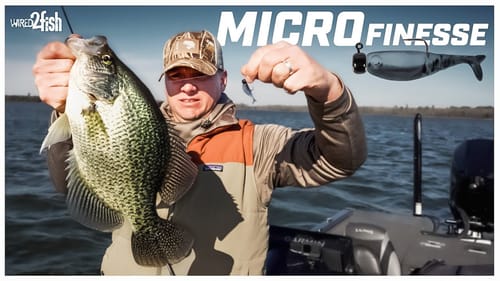 Fall Crappie Fishing with Micro Plastics and BFS