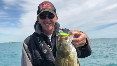 Smallmouth Bass Fishing Is Going Down The Toilet…