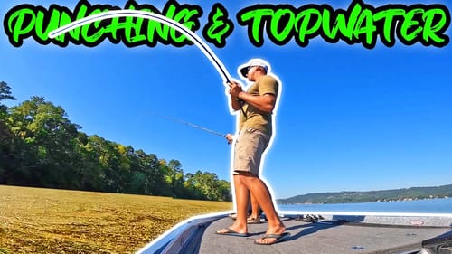Punching & Topwater Fishing on FAMOUS Lake Guntersville! (Ft. John Maner Guide)
