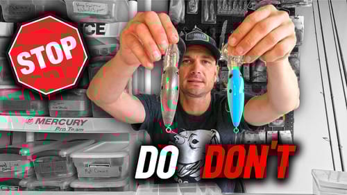 Every Angler NEEDS these Crankbaits in their Summer Tackle Box