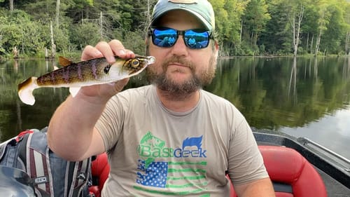 How to Fish This New Topwater Bait IN COVER!