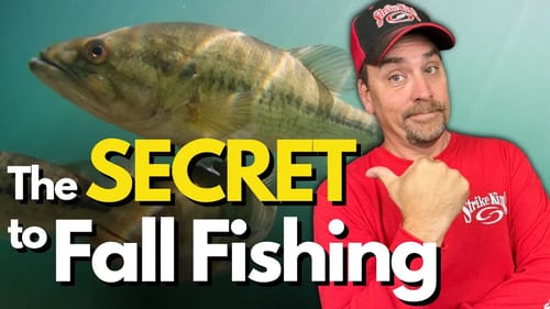 You Can't Beat THIS Approach to Fall Bass Fishing