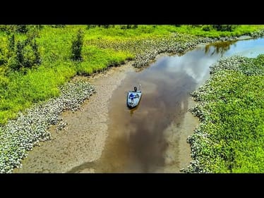 Fishing DIRT SHALLOW For AGGRESSIVE BASS!! 
