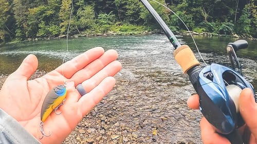 Bank Fishing and Kayaking Small River For Bass and Musky!